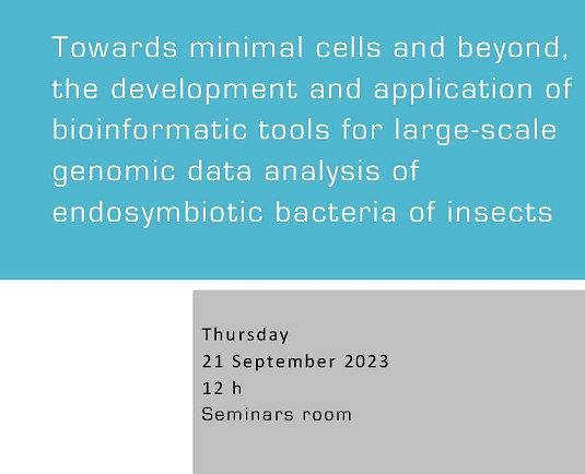 Towards minimal cells and beyond, the development and application of bioinformatic tools for large-scale genomic data analysis of endosymbiotic bacteria of insects